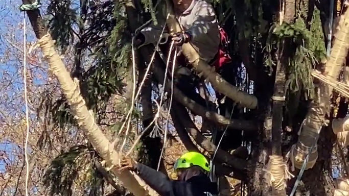Tying the Tree